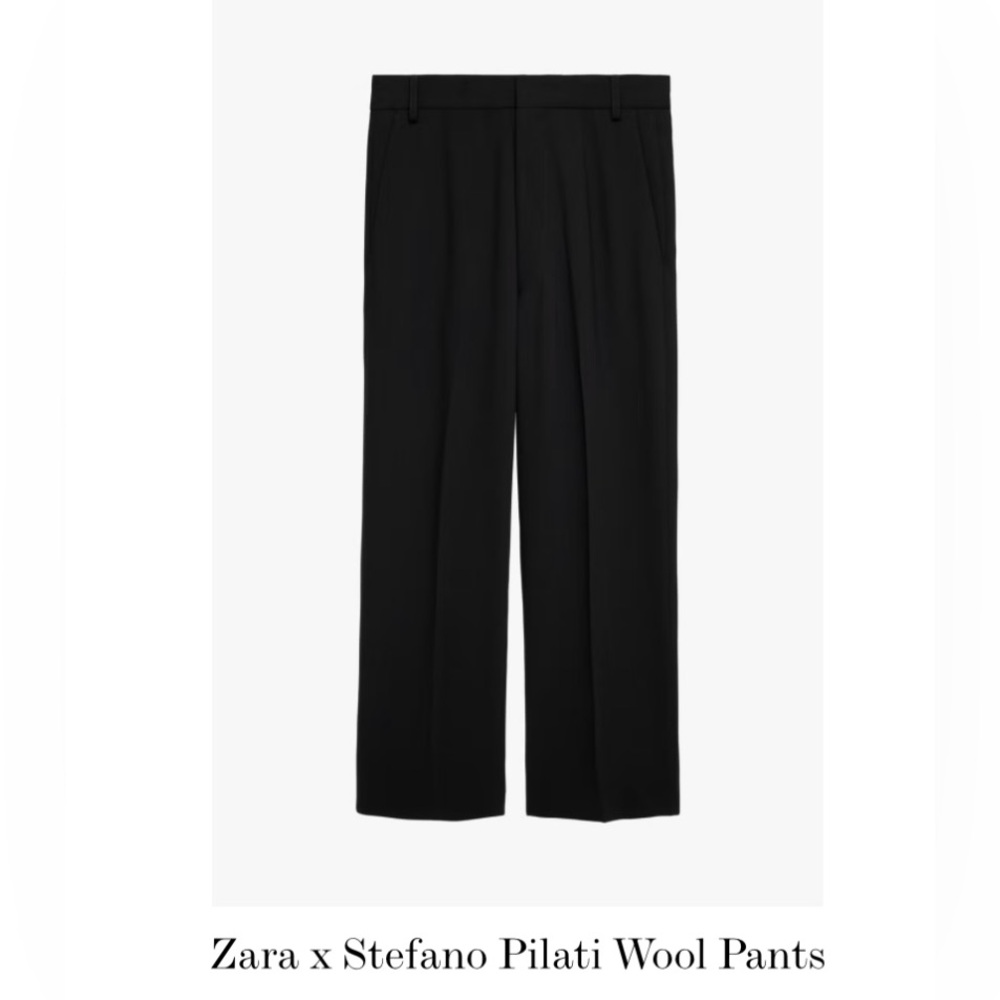 Zara x Stefano Pilati NWT Wool Cropped Pants, Size M